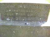 image of grave number 172124
